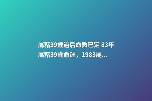 屬豬39歲過后命數已定 83年屬豬39歲命運，1983屬豬人的命運-第1張-觀點-玄機派